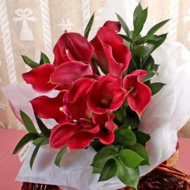 12 Dark Red Calla Lilies Hand Bouquet