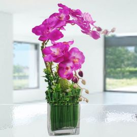 Artificial Phalaenopsis Orchid in Small Glass Vase