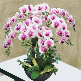 8 Artificial Phalaenopsis Orchid Table Arrangement.