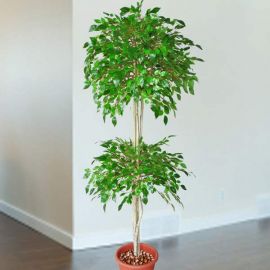 Artificial Ficus Tree 175cm Height, Plastic Pot