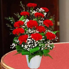12 Red Carnations in Vase