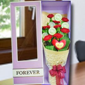 8 Red Carnations in Gift Box With Mini Heart Pillow (Love)