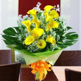 10 Cala Lily Yellow with Babybreath HandbouquetBabybreath