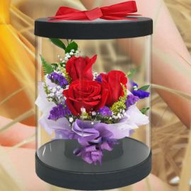 3 Red Roses in Cylinder Gift Box 20cm Height
