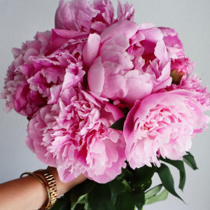 3 Gorgeous Peony Bouquets for Every Occasion